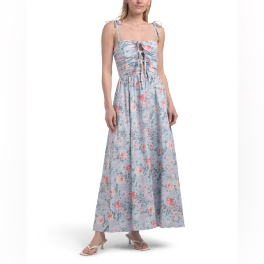 NWT WAYF Tie-Front Floral Maxi Dress - Light Blue and Pink